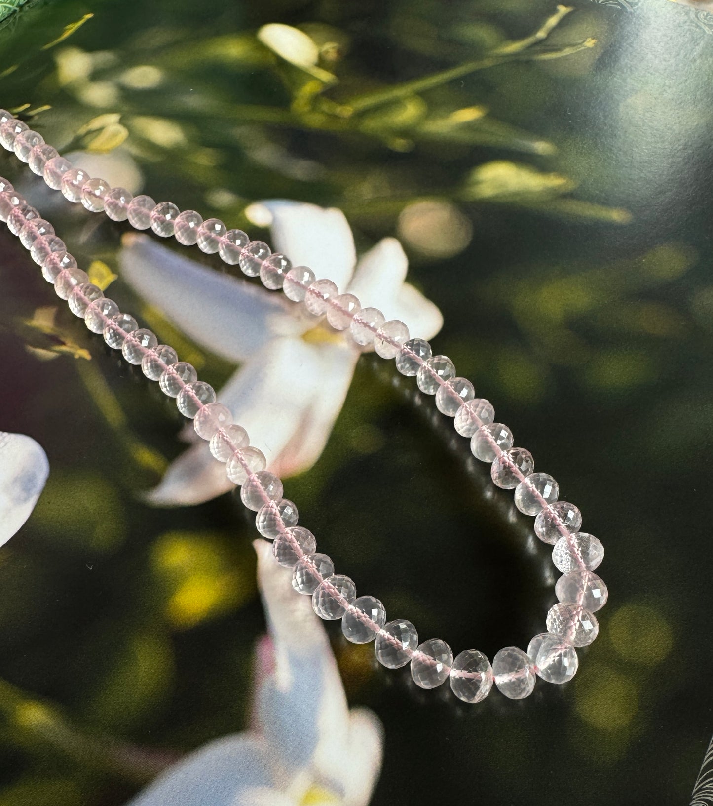 Gustavia Rose Quartz Necklace